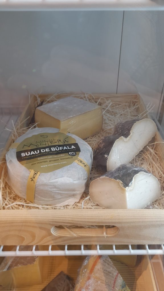 visita guiada Girona